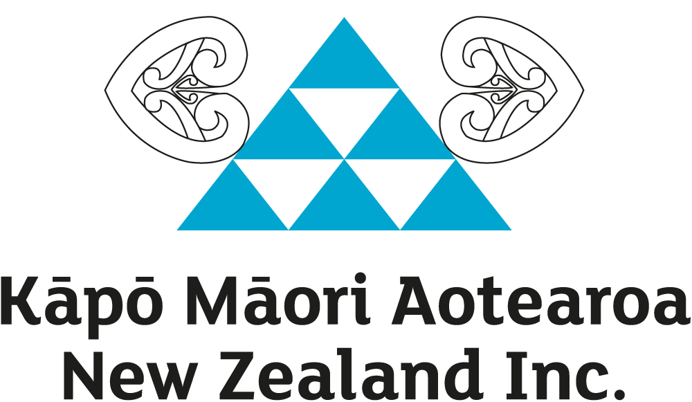 Support For Blind Visually Impaired Maori Kapo Maori